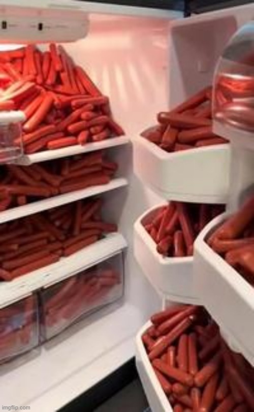 hotdog | image tagged in what | made w/ Imgflip meme maker