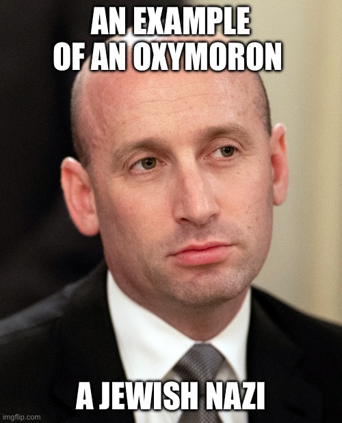 Stephen Miller Oxymoron Meme | AN EXAMPLE OF AN OXYMORON; A JEWISH NAZI | image tagged in stephen miller oxymoron meme | made w/ Imgflip meme maker