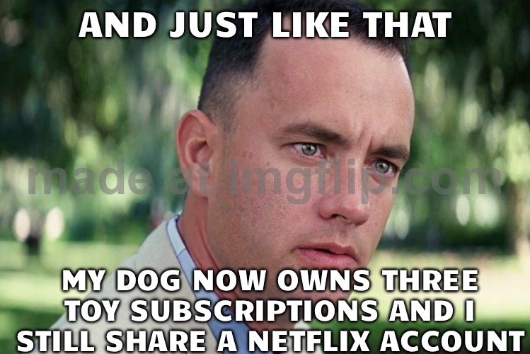 AND JUST LIKE THAT; MY DOG NOW OWNS THREE TOY SUBSCRIPTIONS AND I STILL SHARE A NETFLIX ACCOUNT | AND JUST LIKE THAT; MY DOG NOW OWNS THREE TOY SUBSCRIPTIONS AND I STILL SHARE A NETFLIX ACCOUNT | image tagged in memes,and just like that,subscribe,toys,dogs,netflix | made w/ Imgflip meme maker