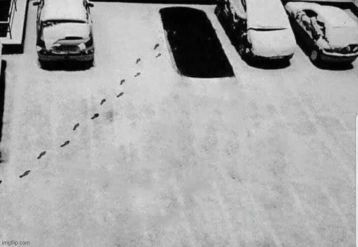 bro levitated away | image tagged in what | made w/ Imgflip meme maker