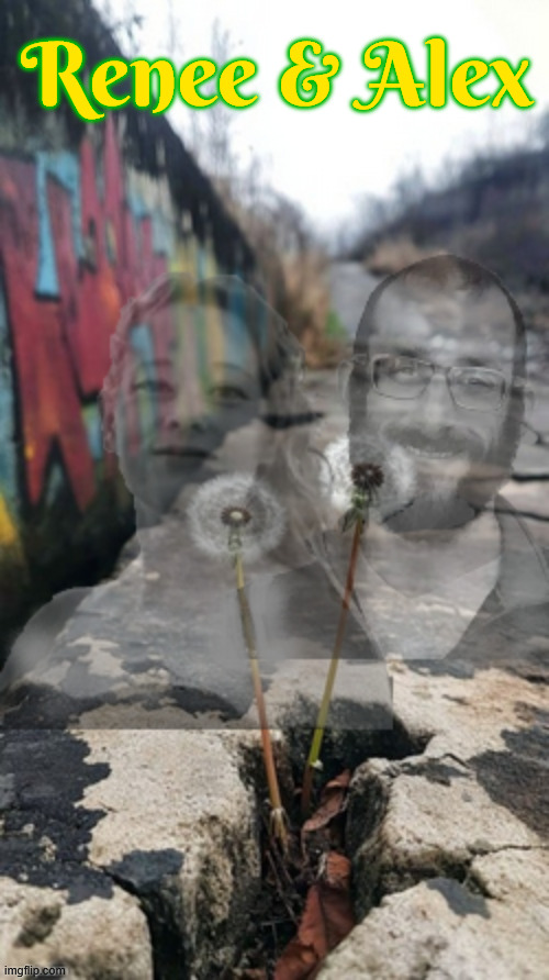 Renee and Alex | Renee & Alex | image tagged in renee and alex,dandelions,speeding their message | made w/ Imgflip meme maker