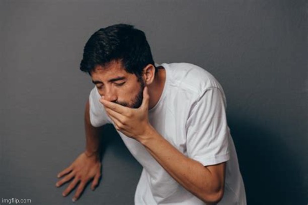 image tagged in about to puke | made w/ Imgflip meme maker