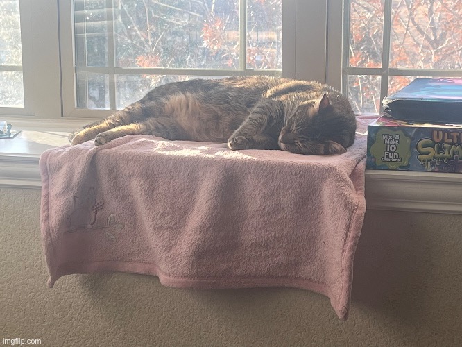 kity | made w/ Imgflip meme maker