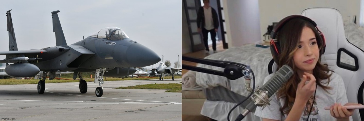 would you rather stick it in a gamer girl or a F-15E Strike Eagle? | image tagged in f-15 eagle,carson pokimane format | made w/ Imgflip meme maker