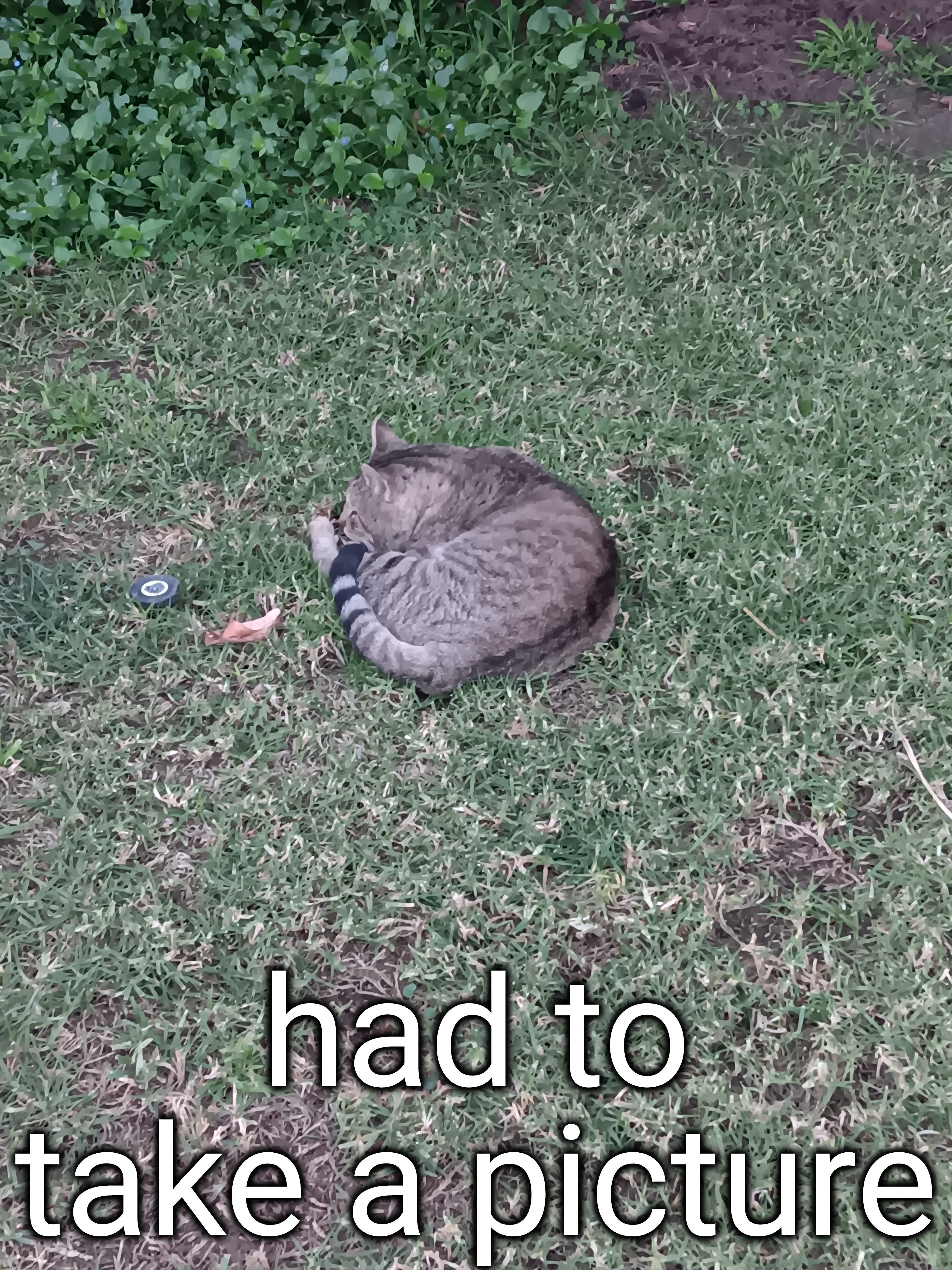 had to take a picture | made w/ Imgflip meme maker