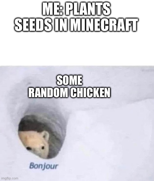 Bonjour | ME: PLANTS SEEDS IN MINECRAFT; SOME RANDOM CHICKEN | image tagged in bonjour | made w/ Imgflip meme maker