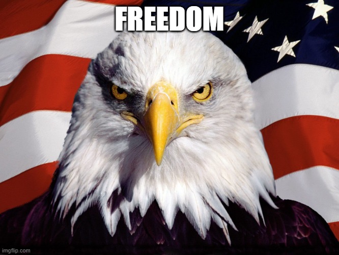Freedom Eagle | FREEDOM | image tagged in freedom eagle | made w/ Imgflip meme maker