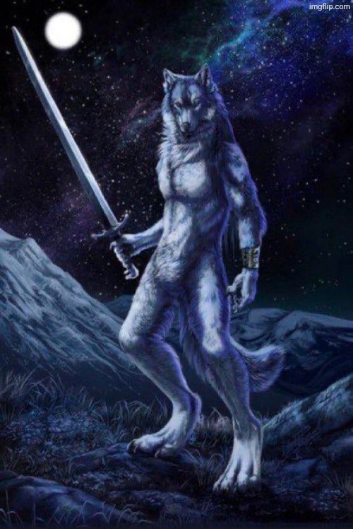 Sigma lone wolf | image tagged in sigma lone wolf | made w/ Imgflip meme maker