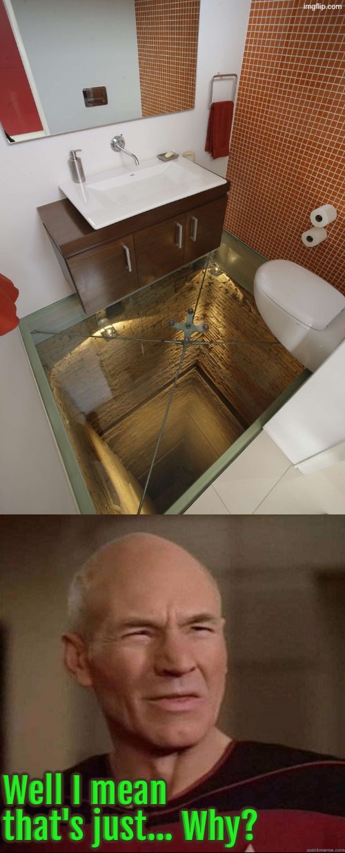 Dude WTF? | Well I mean that's just... Why? | image tagged in picard wtf,bathrooms,toilets,design fails,excuse me wtf,absurd | made w/ Imgflip meme maker