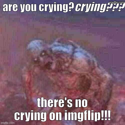 theres no crying on imgflip! | image tagged in theres no crying on imgflip | made w/ Imgflip meme maker