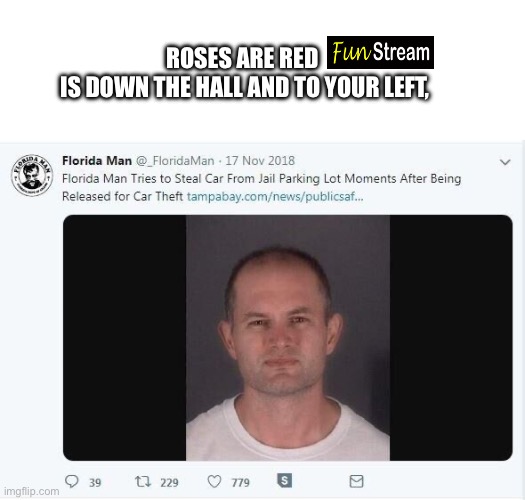 GTA IRL | ROSES ARE RED  
IS DOWN THE HALL AND TO YOUR LEFT, | image tagged in fun stream,memes,florida man | made w/ Imgflip meme maker