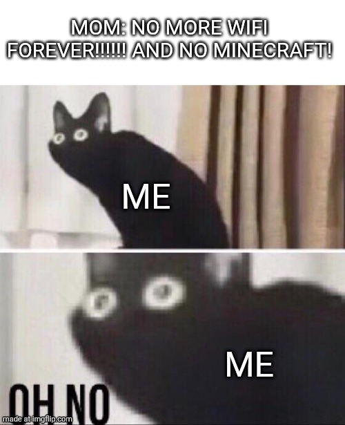 Not real DONT worry! | MOM: NO MORE WIFI FOREVER!!!!!! AND NO MINECRAFT! ME; ME | image tagged in oh no cat | made w/ Imgflip meme maker