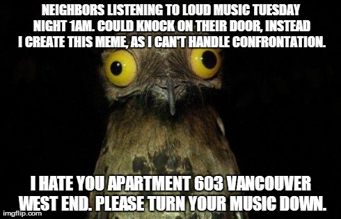 Crazy eyed bird | NEIGHBORS LISTENING TO LOUD MUSIC TUESDAY NIGHT 1AM. COULD KNOCK ON THEIR DOOR, INSTEAD I CREATE THIS MEME, AS I CAN'T HANDLE CONFRONTATION. | image tagged in crazy eyed bird,funny | made w/ Imgflip meme maker