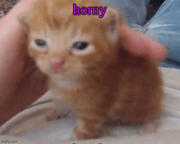 %^& ^$&%% &@*$( | horny | image tagged in herbert | made w/ Imgflip meme maker