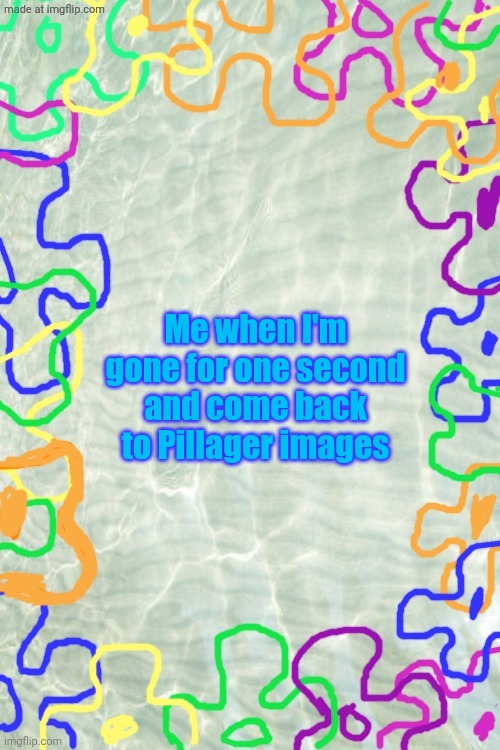 Seabed Temp | Me when I'm gone for one second and come back to Pillager images | image tagged in seabed temp | made w/ Imgflip meme maker