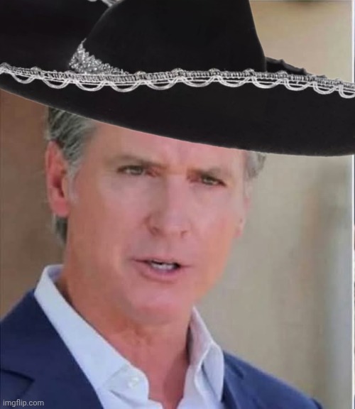 Greasy Gavin Newsom Blank Meme Template