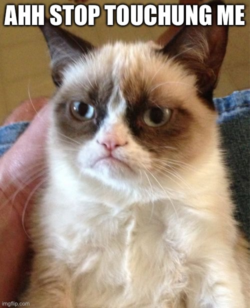 Grumpy Cat | AHH STOP TOUCHUNG ME | image tagged in memes,grumpy cat | made w/ Imgflip meme maker