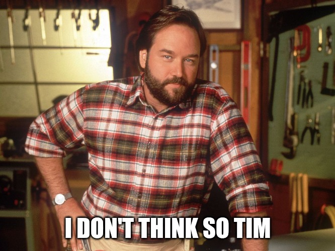 No tim | I DON'T THINK SO TIM | image tagged in i don't think so tim | made w/ Imgflip meme maker
