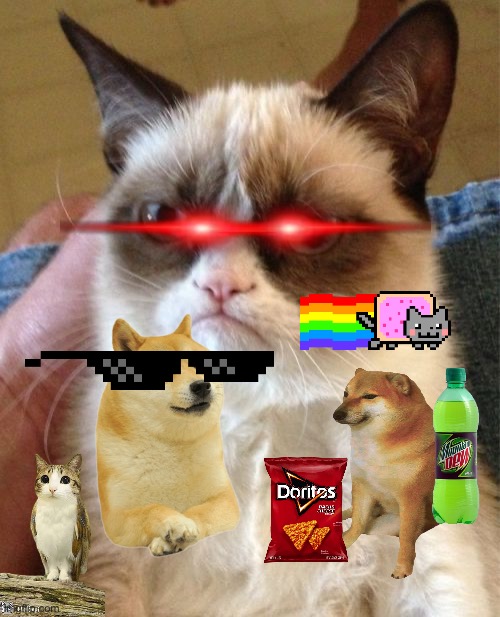 Grumpy Cat | image tagged in memes,grumpy cat | made w/ Imgflip meme maker