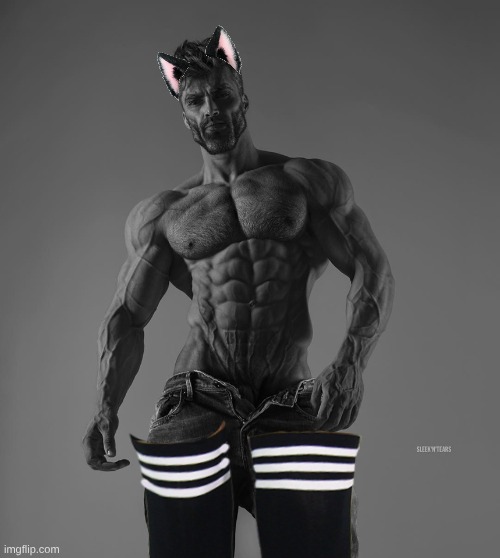 giga chad | image tagged in giga chad | made w/ Imgflip meme maker