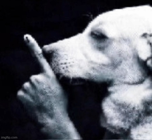dog shushing | image tagged in dog shushing | made w/ Imgflip meme maker