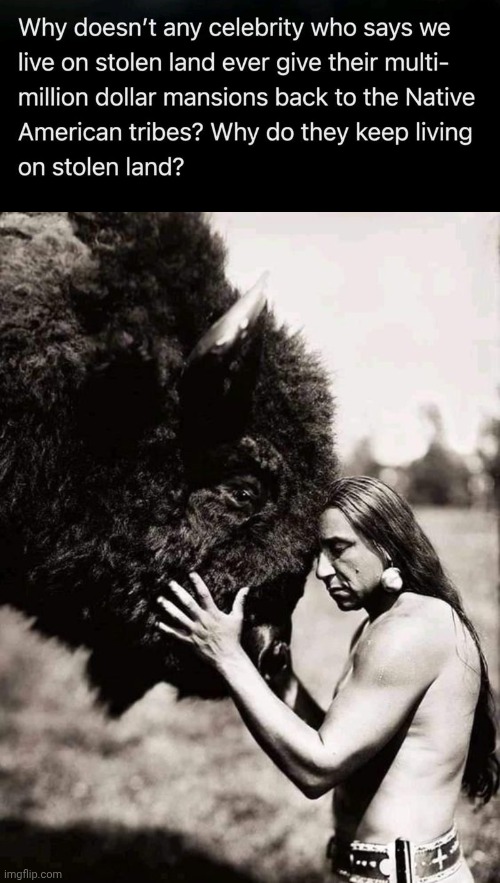 Celebrity Hypocrites and American Indians | image tagged in buffalo with american indian,liberal hypocrisy | made w/ Imgflip meme maker