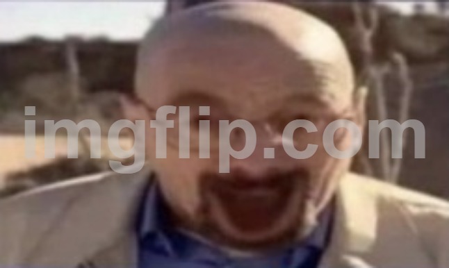 image tagged in waltuh happy | made w/ Imgflip meme maker