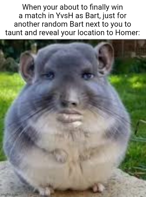 These mfs pmo | When your about to finally win a match in YvsH as Bart, just for another random Bart next to you to taunt and reveal your location to Homer: | image tagged in disappointed chinchilla,memes,funny,roblox,roblox meme,yvsh | made w/ Imgflip meme maker