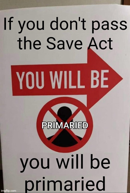 Pass the Save Act | image tagged in save act,political meme,politics,vote | made w/ Imgflip meme maker