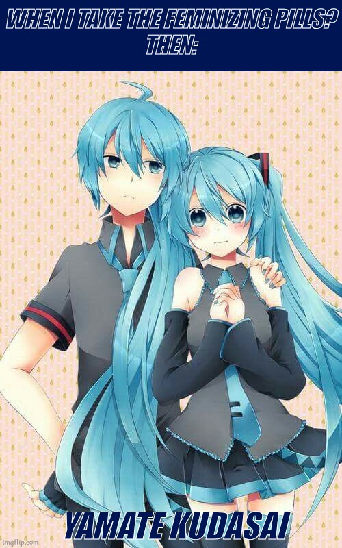 What? | WHEN I TAKE THE FEMINIZING PILLS?
THEN:; YAMATE KUDASAI | image tagged in feminism,hatsune miku,couple,memes,funny,facebook | made w/ Imgflip meme maker