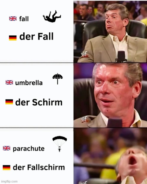 so they literally call it "the fall umbrella" | made w/ Imgflip meme maker