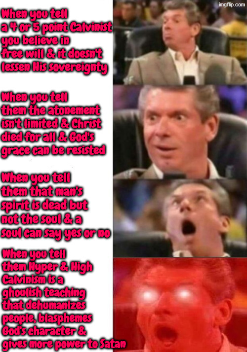 Well it's the truth | image tagged in calvinism,calvinist memes,anti calvinism,reformed theology,vince mcmahon reaction w/glowing eyes,the truth teller | made w/ Imgflip meme maker