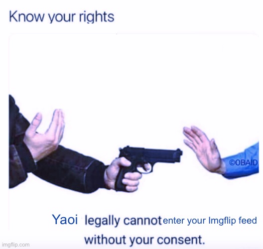 . | enter your Imgflip feed; Yaoi | image tagged in know your rights | made w/ Imgflip meme maker
