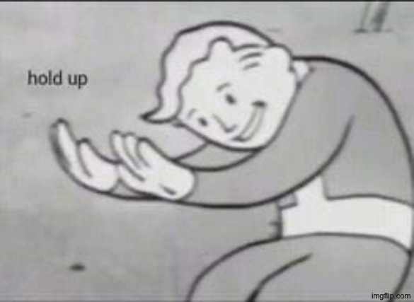 Fallout Hold Up | image tagged in fallout hold up | made w/ Imgflip meme maker