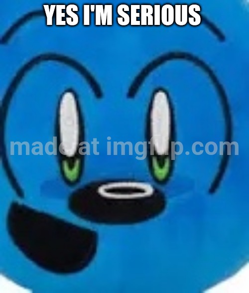 Riggy face | YES I'M SERIOUS | image tagged in riggy face | made w/ Imgflip meme maker
