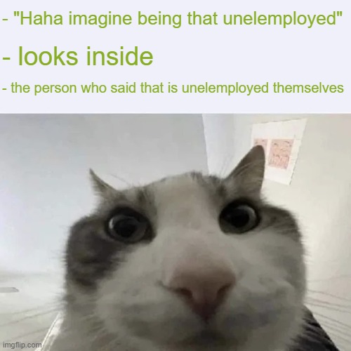 green text cat | - "Haha imagine being that unelemployed" - looks inside - the person who said that is unelemployed themselves | image tagged in green text cat | made w/ Imgflip meme maker