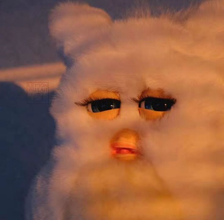 Skeptical furb Blank Meme Template