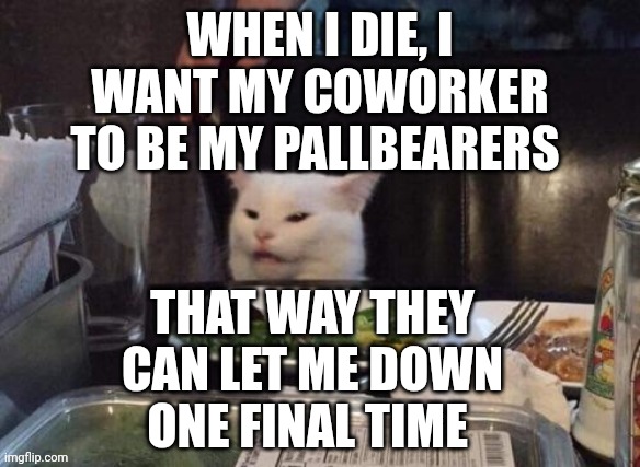Smudge that darn cat | WHEN I DIE, I WANT MY COWORKER TO BE MY PALLBEARERS; THAT WAY THEY CAN LET ME DOWN ONE FINAL TIME | image tagged in smudge that darn cat | made w/ Imgflip meme maker