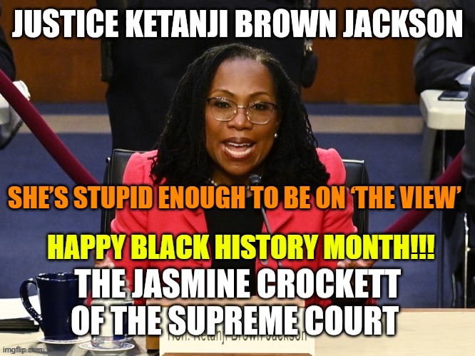 The Judicial clone of Kamala Harris:  Ketanji Jackson | SHE’S STUPID ENOUGH TO BE ON ‘THE VIEW’; HAPPY BLACK HISTORY MONTH!!! | image tagged in ketanji brown jackson,kamala harris,scotus,incompetence,biological integrity,woman | made w/ Imgflip meme maker