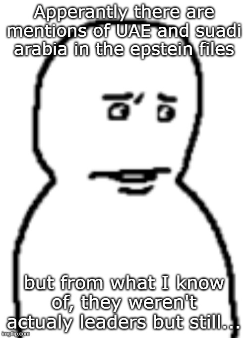 ts files be more worldwide than I expected | Apperantly there are mentions of UAE and suadi arabia in the epstein files; but from what I know of, they weren't actualy leaders but still... | image tagged in bro | made w/ Imgflip meme maker