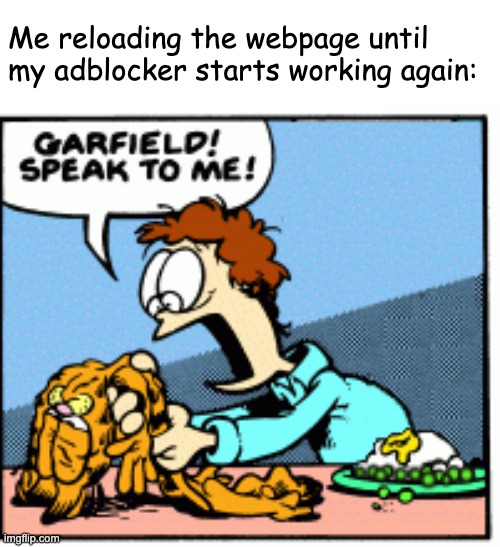 Garfield speak to me! | Me reloading the webpage until my adblocker starts working again: | image tagged in garfield speak to me | made w/ Imgflip meme maker