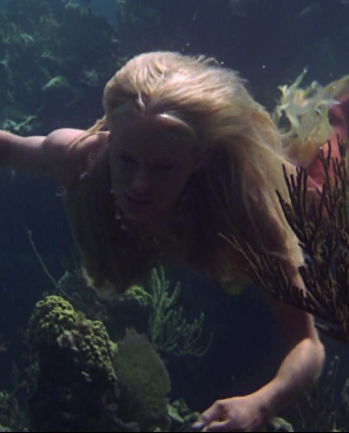 Madison Blank Meme Template