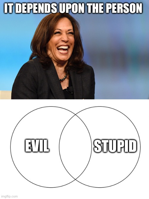IT DEPENDS UPON THE PERSON STUPID EVIL | image tagged in kamala harris laughing,venn diagram | made w/ Imgflip meme maker