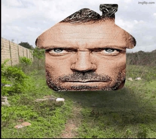 Doctor House | image tagged in doctor house | made w/ Imgflip meme maker