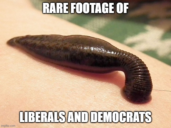Parasite | RARE FOOTAGE OF LIBERALS AND DEMOCRATS | image tagged in parasite | made w/ Imgflip meme maker