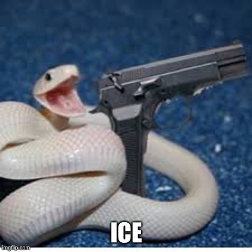 snake got gun | ICE | image tagged in snake got gun | made w/ Imgflip meme maker