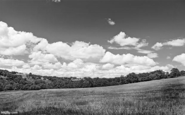 beautiful nature | image tagged in beautiful nature | made w/ Imgflip meme maker