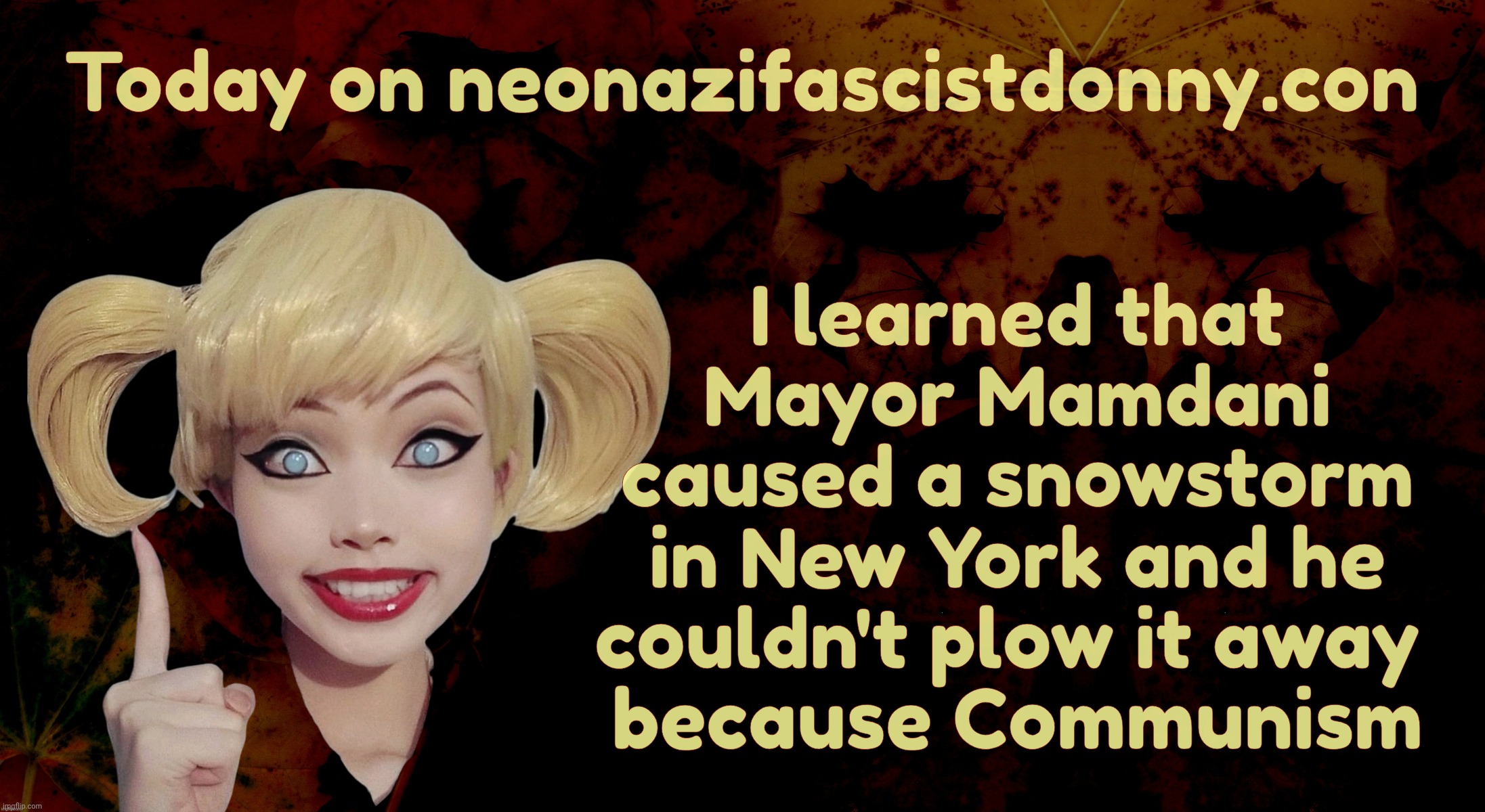 Snowmageddon 2026. The one the MAGAts say did Mayor Mamdani in | I learned that
Mayor Mamdani
caused a snowstorm
in New York and he
couldn't plow it away 
because Communism; Today on neonazifascistdonny.con | image tagged in harley quinn,snowmageddon 2026,mayor mamdani,new york city,snow blitz,we'll get over it | made w/ Imgflip meme maker