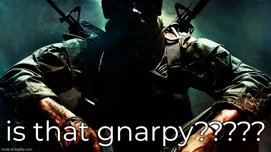 Black ops guy | is that gnarpy????? | image tagged in black ops guy | made w/ Imgflip meme maker