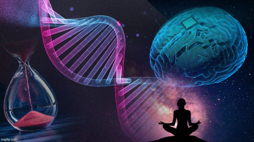 Human explorer in space – long-term survival